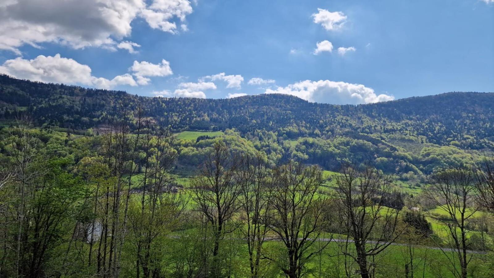 Bed and Breakfast La Gentiane Le Falgoux Zewnętrze zdjęcie